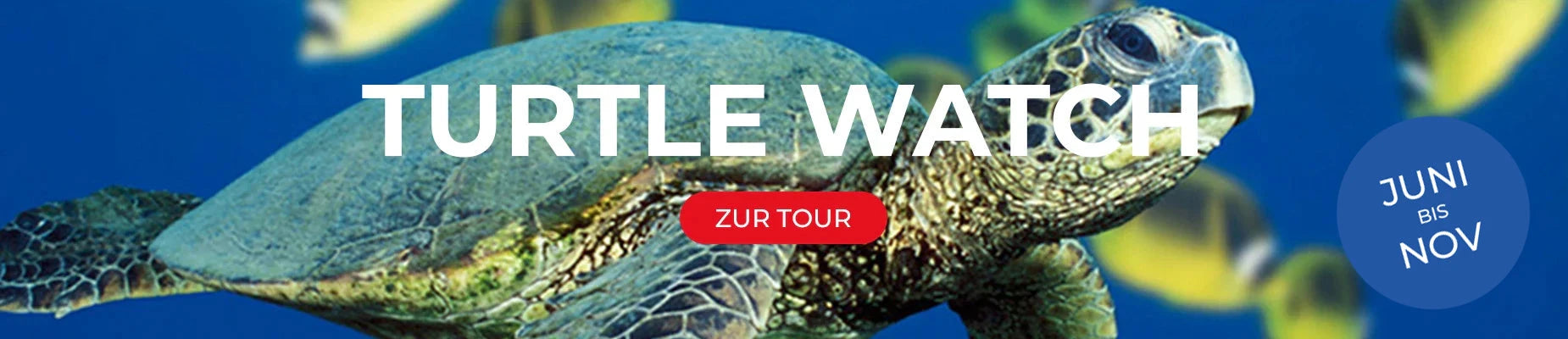 Unsere Touren
