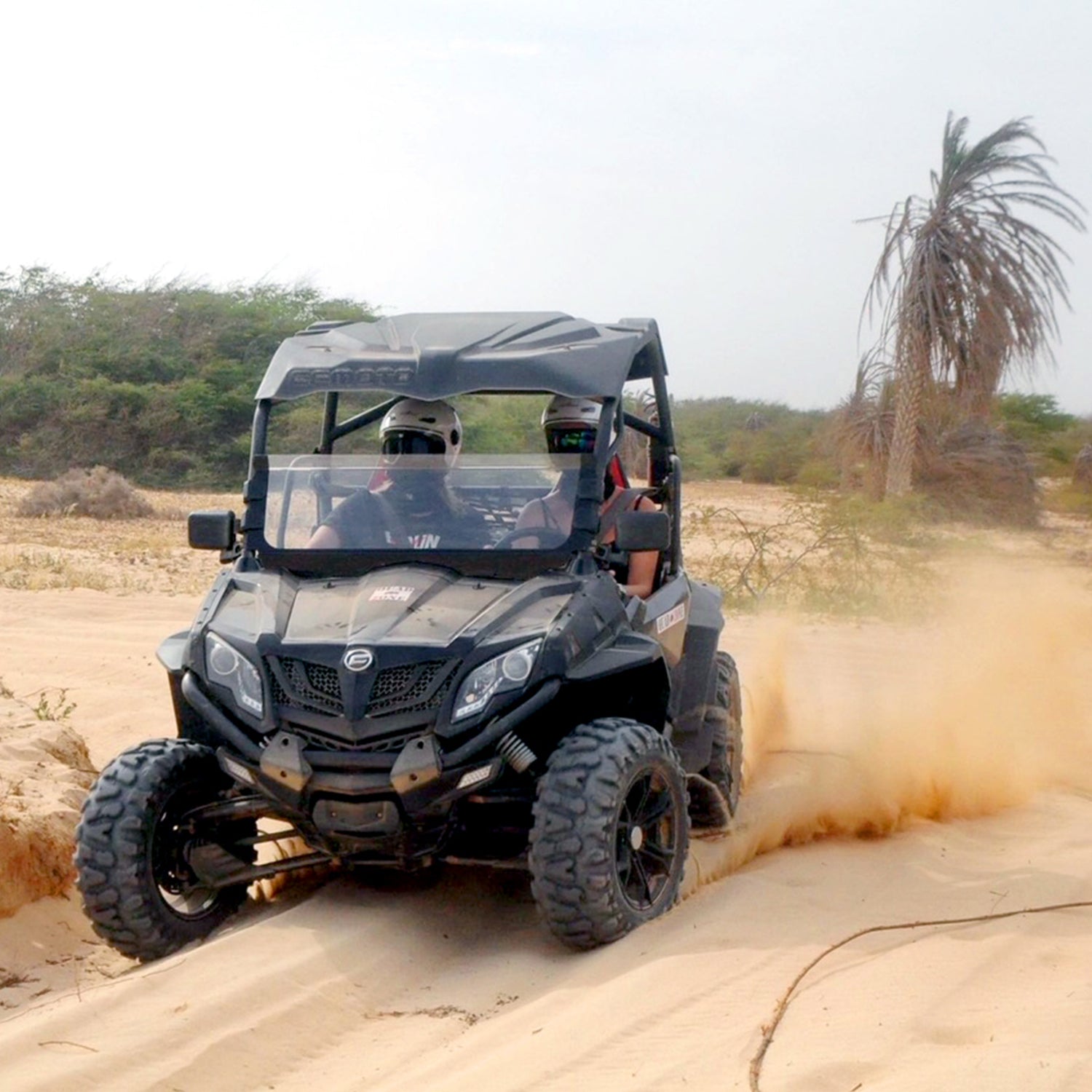 Buggytouren