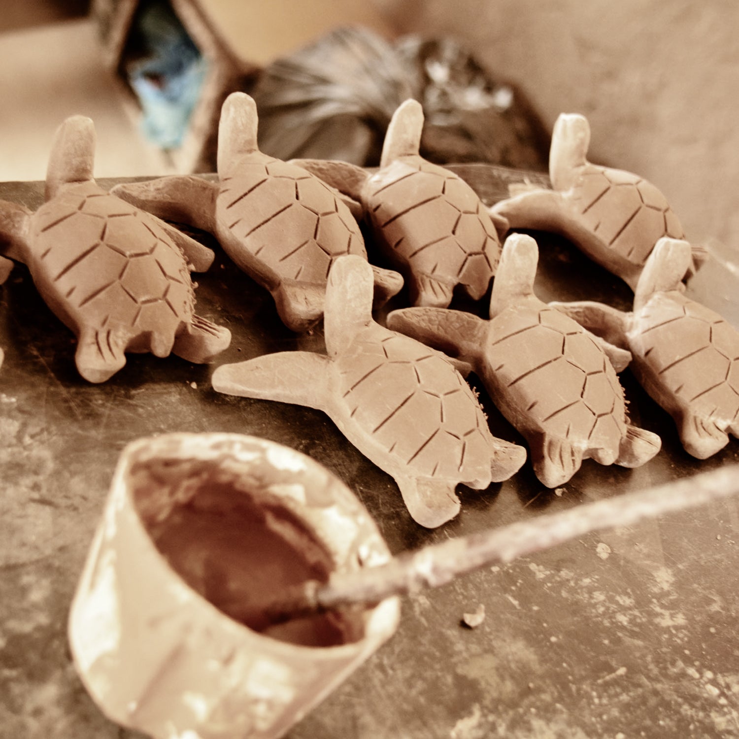 Die große Boavista Tour