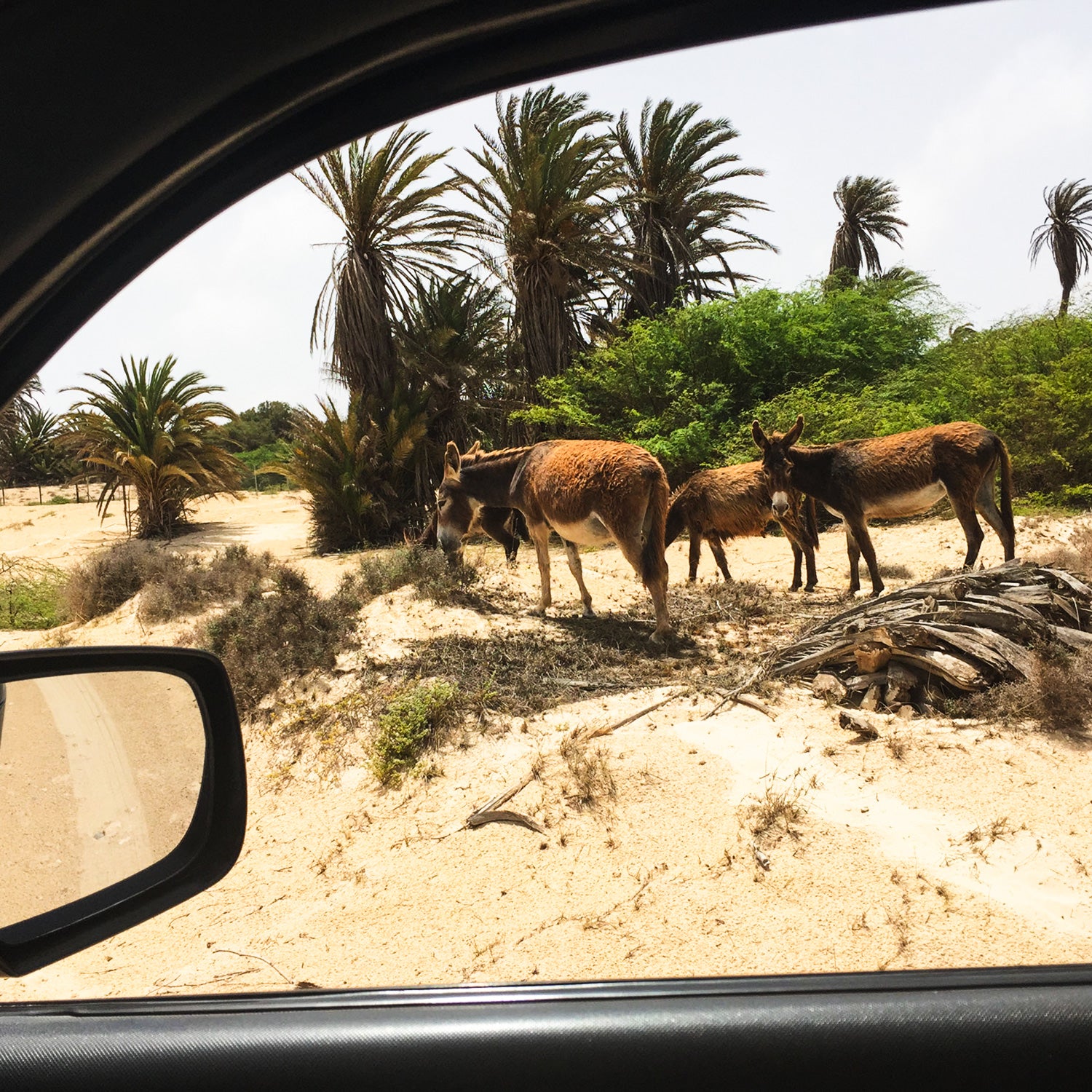 Die klassische Nordtour