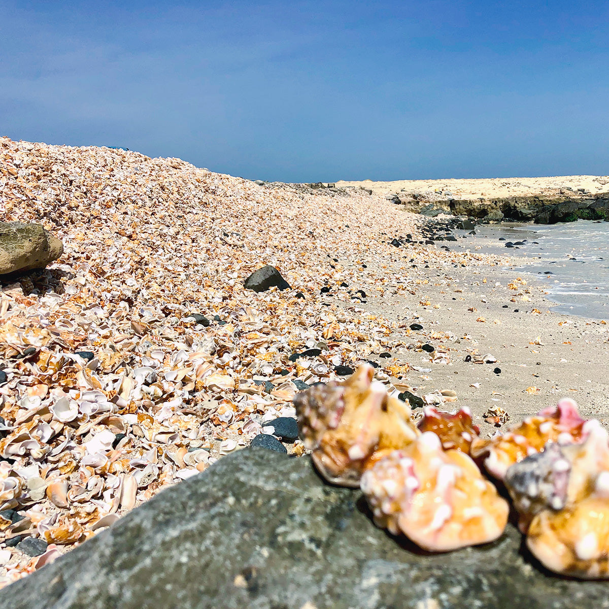 Der ursprüngliche Osten