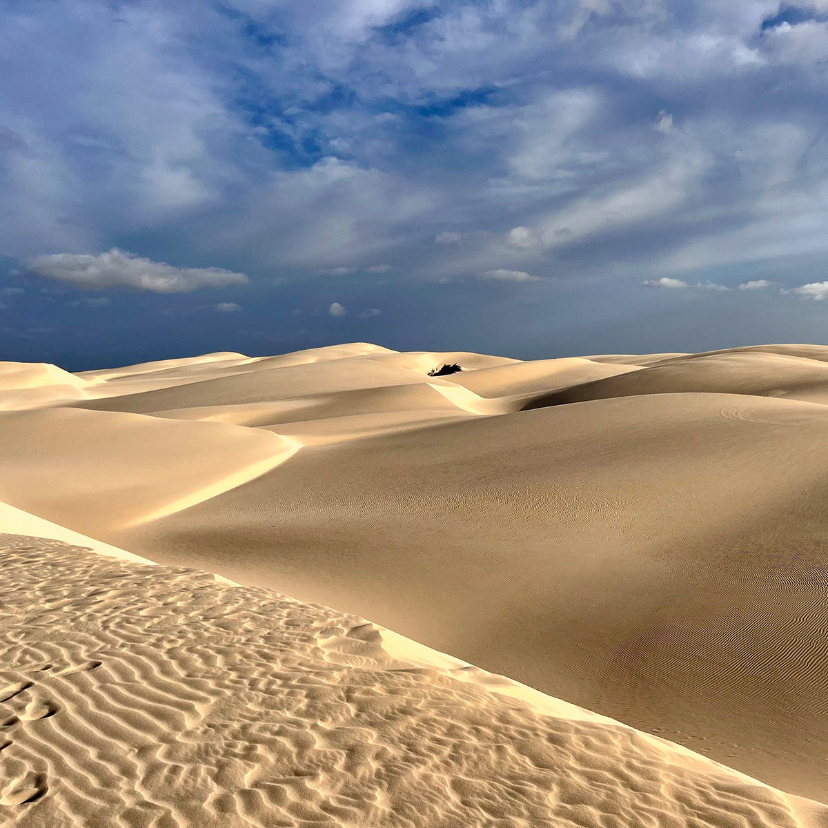 Sandboarding in der Wüste Viana