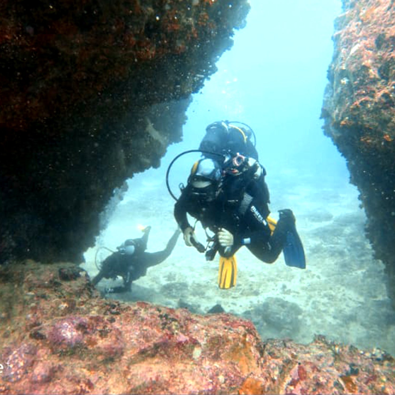 Mergulho