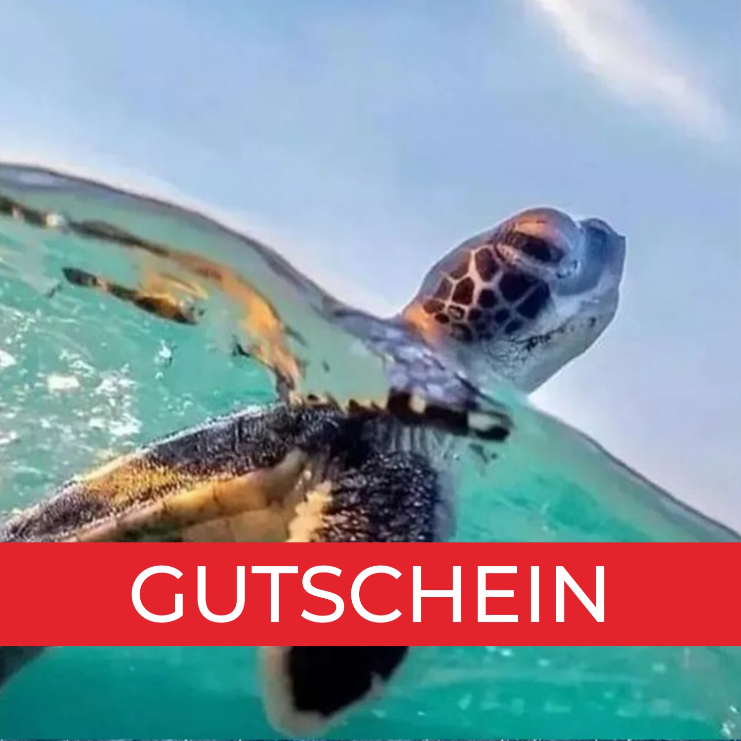 Gutschein Turtle Watch